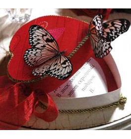 Бабочки и любовь
