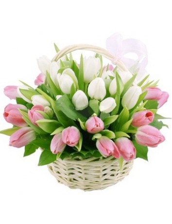 Букет Ангелок из белых и розовых тюльпанов в корзине