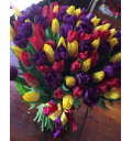 Букет Салют желаний из 101 разноцветного тюльпана
