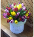 Букет Утро в саду из разноцветных тюльпанов в шляпной коробке