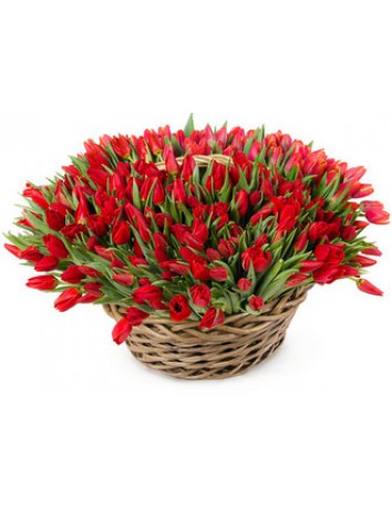 Букет Веселое настроение из 250 красных тюльпанов в большой корзине