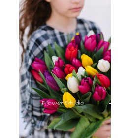 Разноцветные тюльпаны