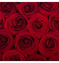 Букет Пламя любви из алых 25 роз Гран При в корзине в форме сердца