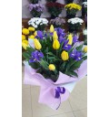 Букет Весенний из синих ирисов и желтых тюльпанов с зеленью
